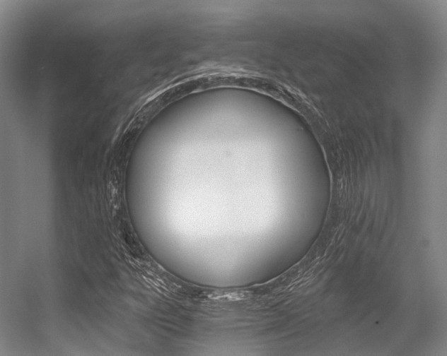 X0000056361303200508260935