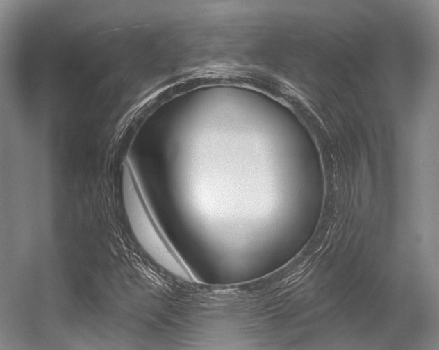 X0000056361304200508260935