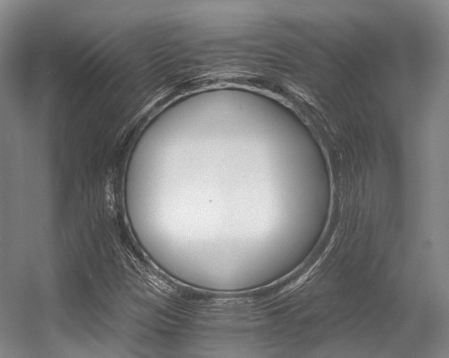 X0000056361305200508260935