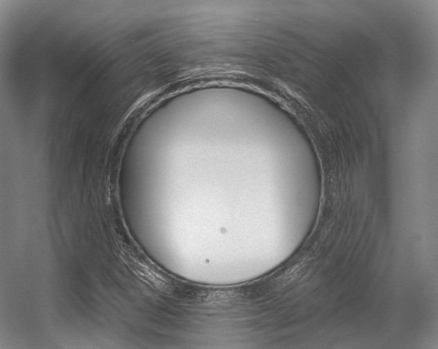 X0000056361306200508260935