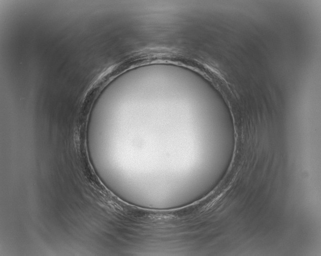 X0000056361309200508260935