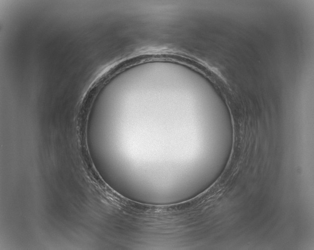 X0000056361311200508260935