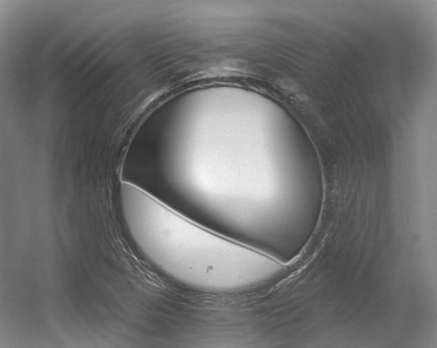 X0000056361313200508260935