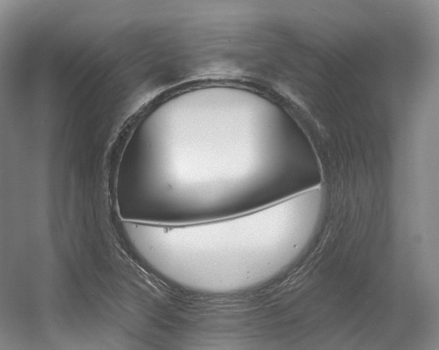 X0000056361315200508260936