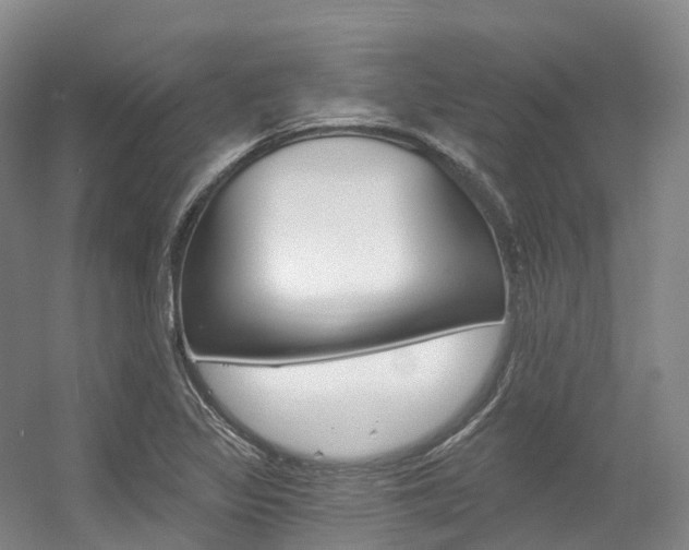 X0000056361317200508260936