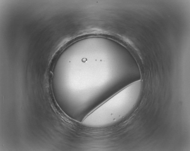 X0000056361318200508260936