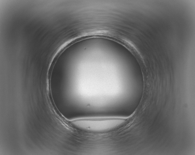 X0000056361324200508260936