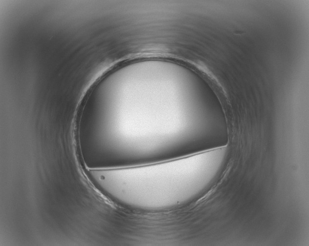 X0000056361325200508260936