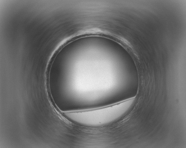 X0000056361326200508260936