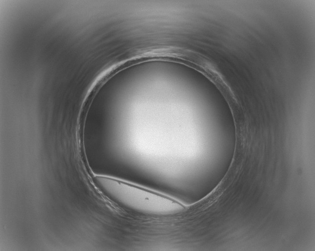 X0000056361328200508260936