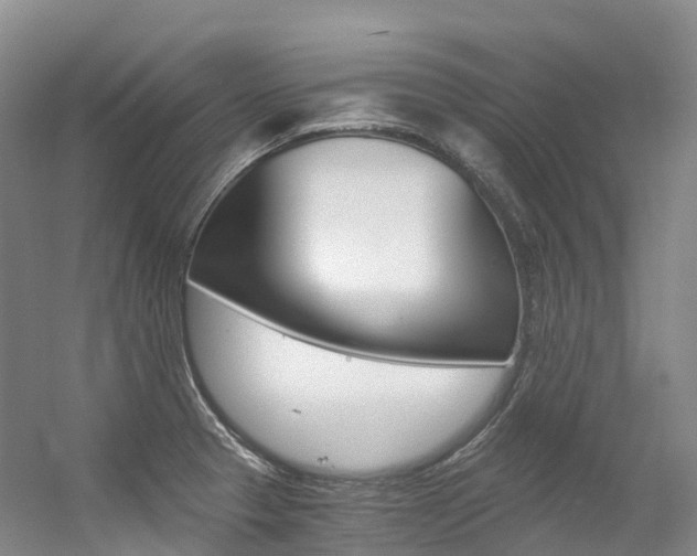 X0000056361329200508260936