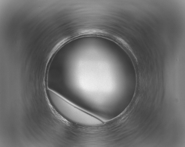 X0000056361330200508260936