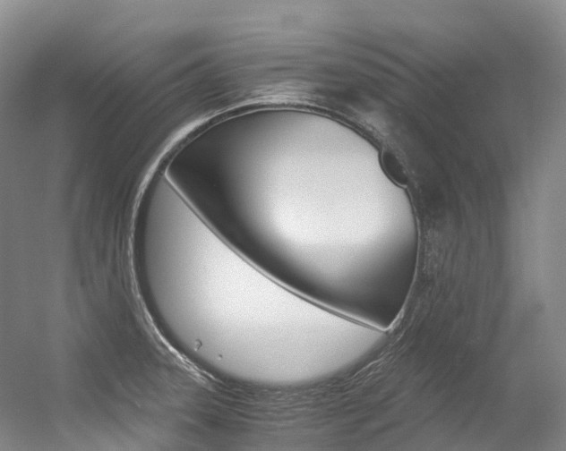 X0000056361331200508260936