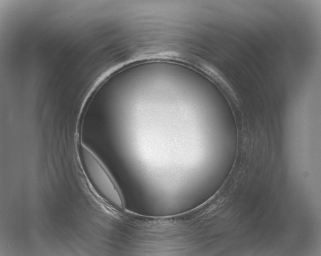X0000056361332200508260936