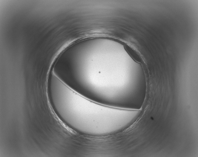 X0000056361333200508260936