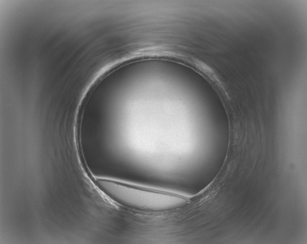 X0000056361334200508260936