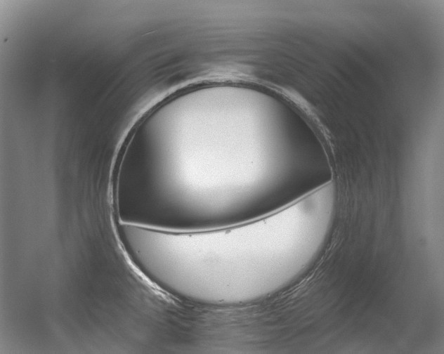 X0000056361335200508260936
