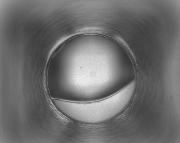 X0000056361336200508260936