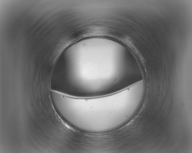 X0000056361337200508260936