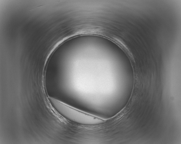 X0000056361340200508260936