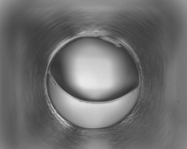 X0000056361344200508260936