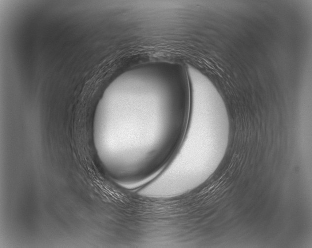 X0000056361345200508260935