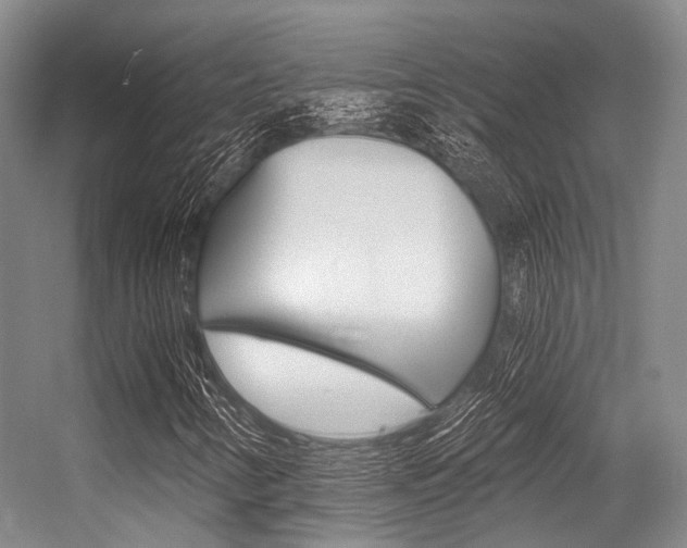 X0000056361346200508260935