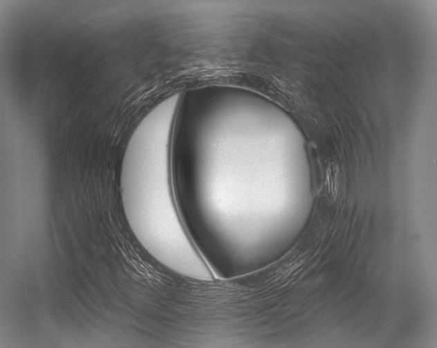 X0000056361348200508260935