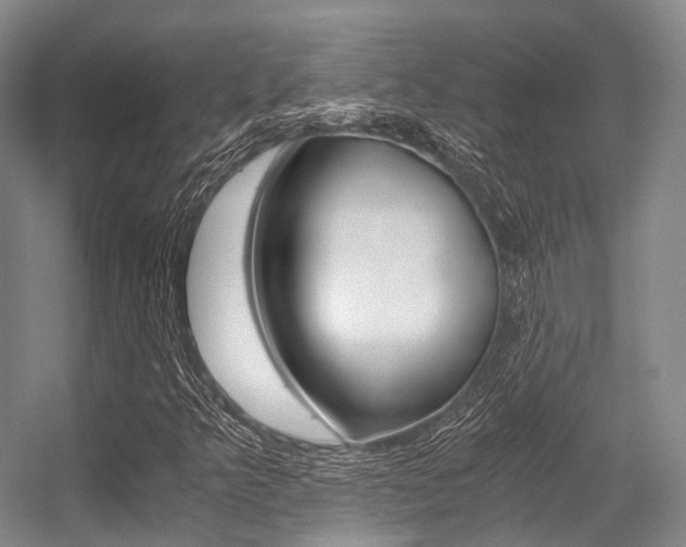 X0000056361349200508260935