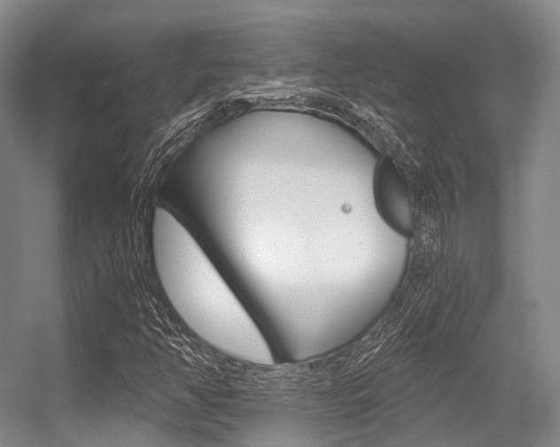 X0000056361350200508260935