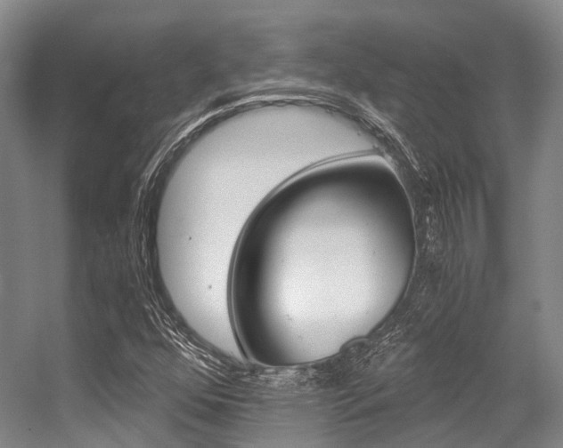 X0000056361352200508260935