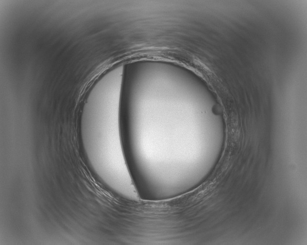 X0000056361354200508260935