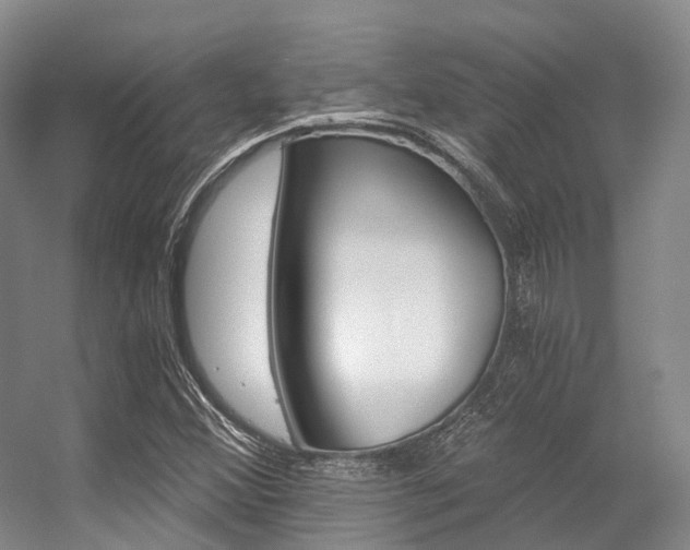 X0000056361356200508260935