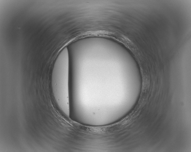 X0000056361361200508260935