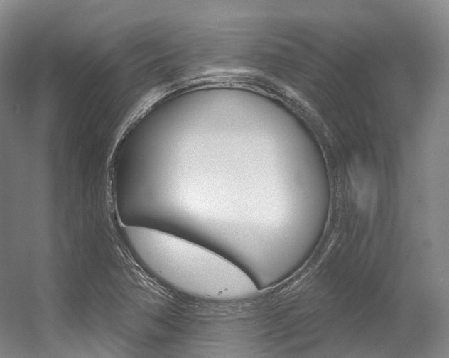 X0000056361362200508260935