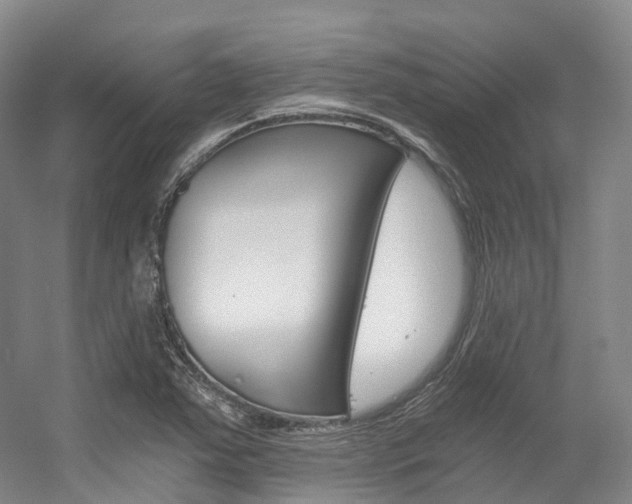 X0000056361363200508260935