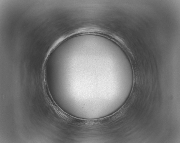X0000056361366200508260935