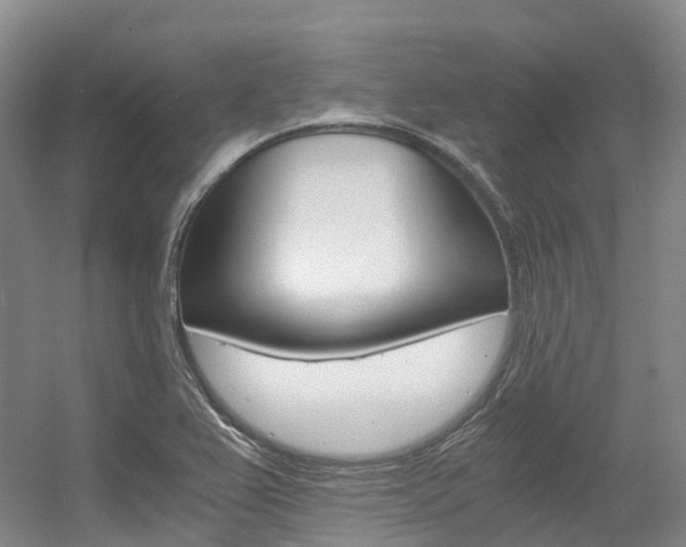 X0000056361367200508260935