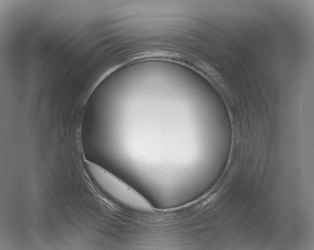 X0000056361369200508260935