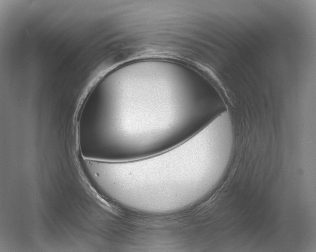 X0000056361371200508260935