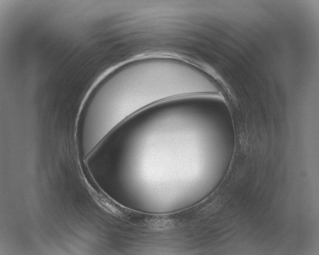 X0000056361372200508260935