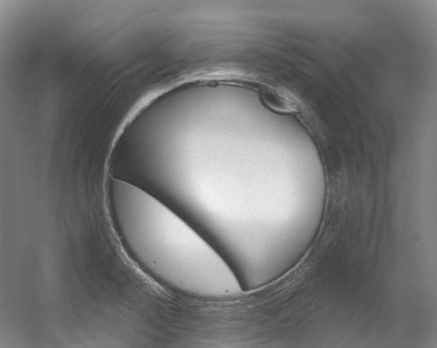 X0000056361374200508260935