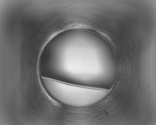 X0000056361375200508260935