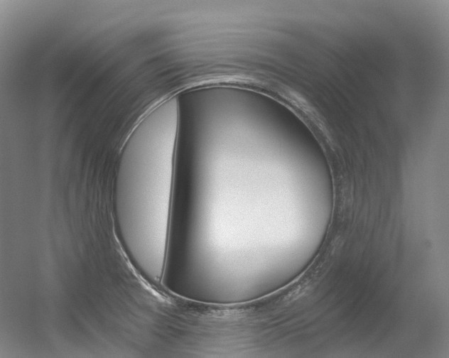 X0000056361377200508260935