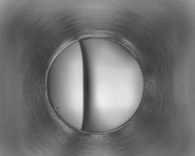X0000056361378200508260935