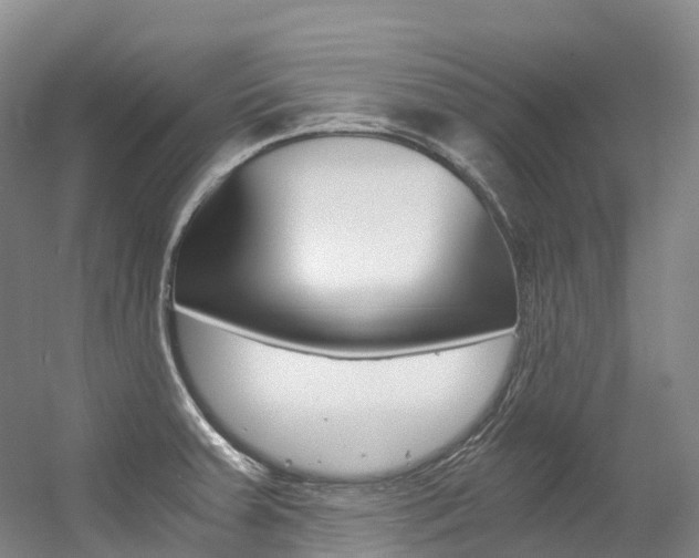 X0000056361379200508260935