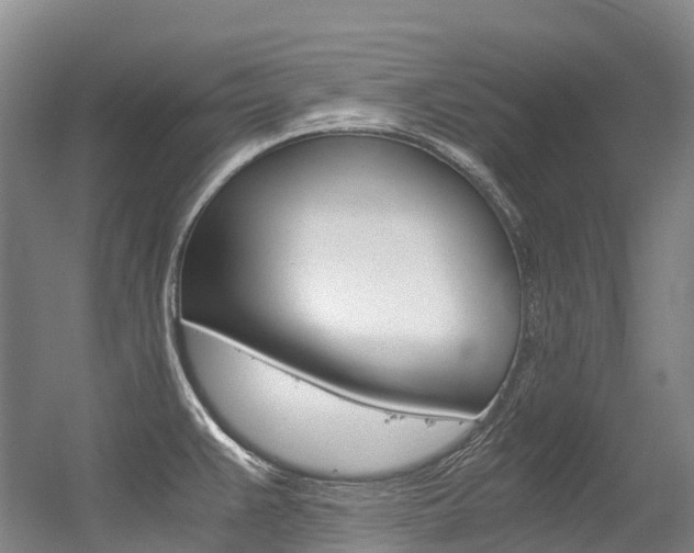 X0000056361383200508260935