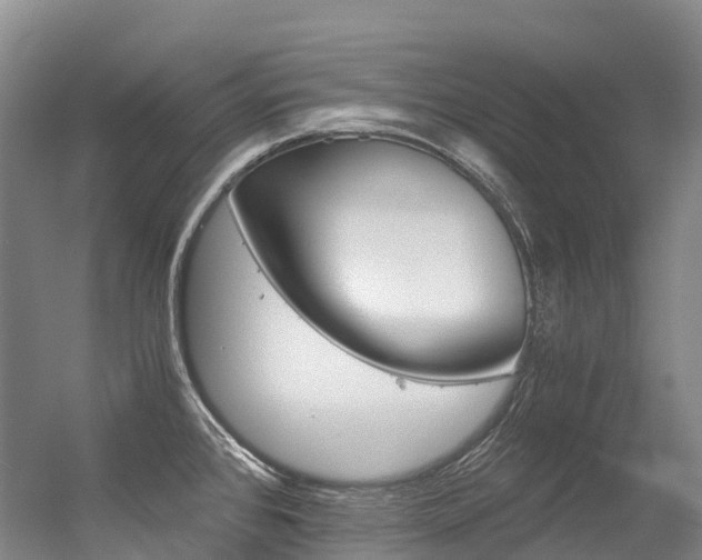 X0000056361384200508260935