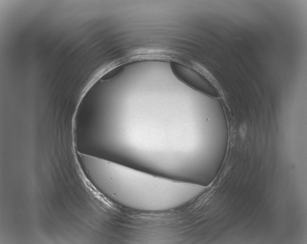 X0000056361386200508260934