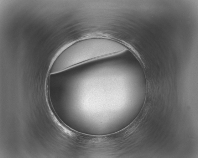 X0000056361387200508260934